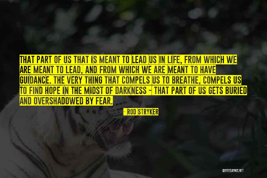 Antipersonnel Mine Quotes By Rod Stryker Antipersonnel Mine Quotes By Rod Stryker