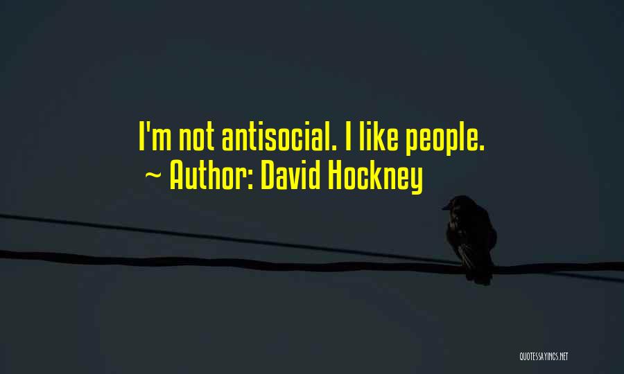Antisocial Quotes By David Hockney