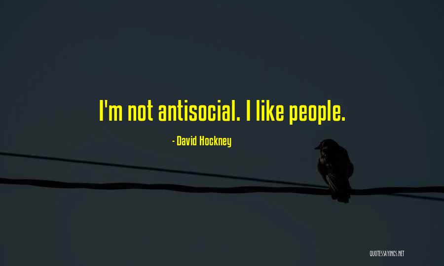 Antisocial Quotes By David Hockney