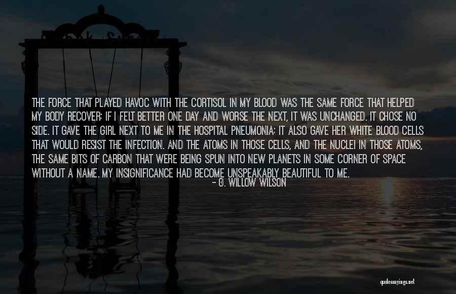 Antoine De Lamothe Cadillac Quotes By G. Willow Wilson Antoine De Lamothe Cadillac Quotes By G. Willow Wilson