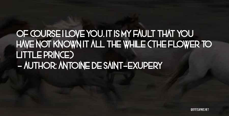 Antoine De Saint-Exupery Quotes 158111