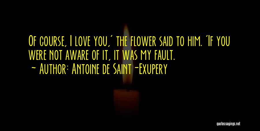 Antoine De Saint-Exupery Quotes 1821672