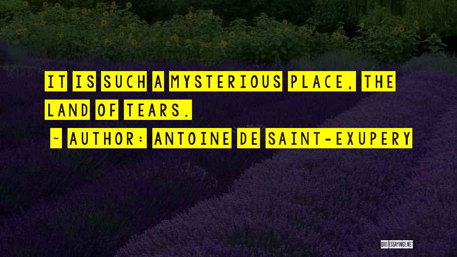 Antoine De Saint-Exupery Quotes 570818