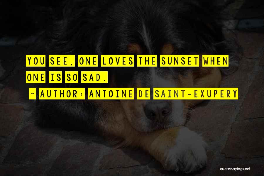 Antoine De Saint-Exupery Quotes 647570