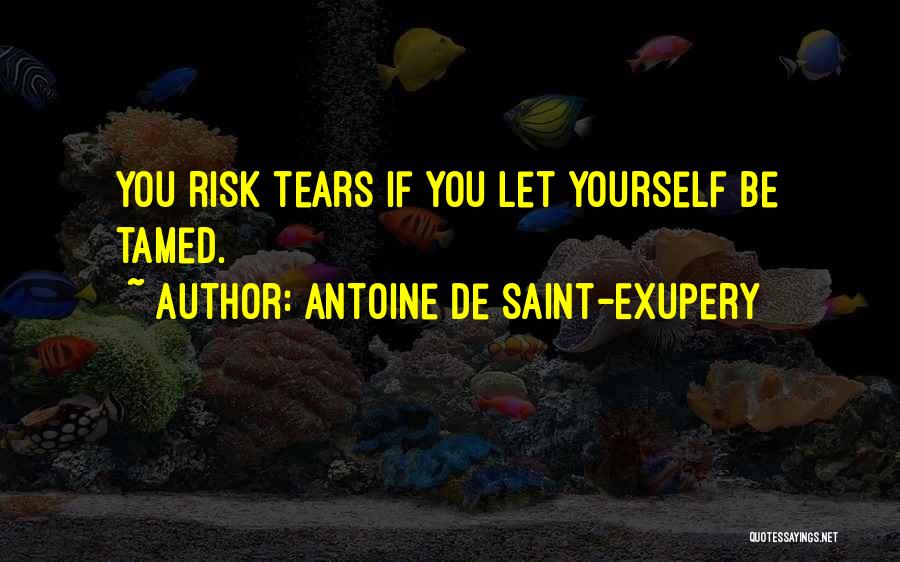 Antoine De Saint Quotes By Antoine De Saint-Exupery