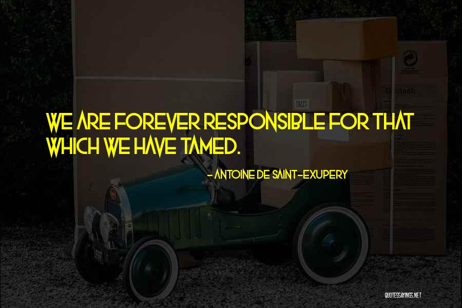 Antoine De Saint Quotes By Antoine De Saint-Exupery