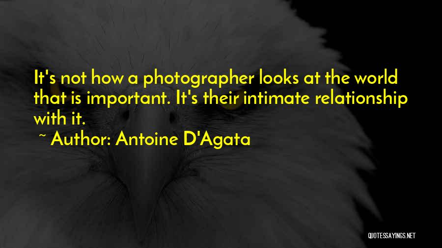 Antoine Quotes By Antoine D'Agata