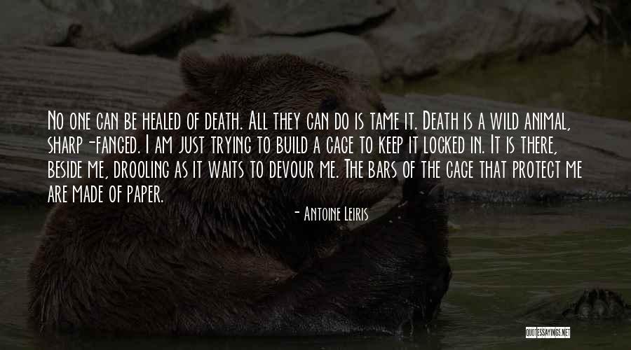 Antoine Quotes By Antoine Leiris Antoine Quotes By Antoine Leiris