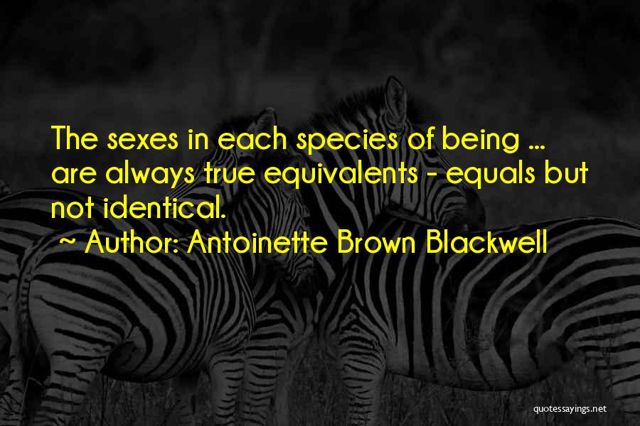 Antoinette Blackwell Quotes By Antoinette Brown Blackwell