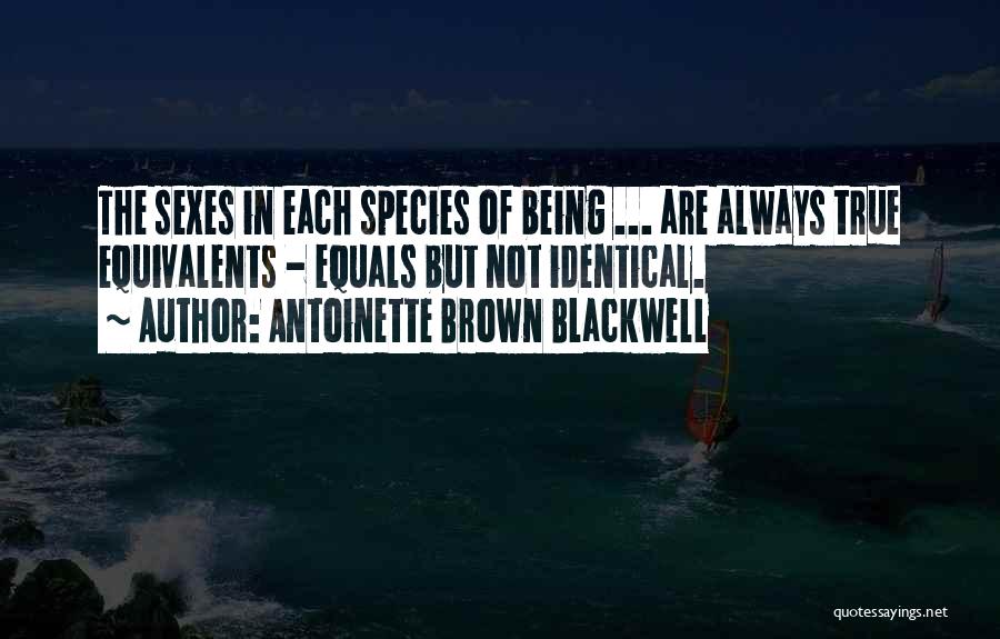 Antoinette Brown Blackwell Quotes 1465143