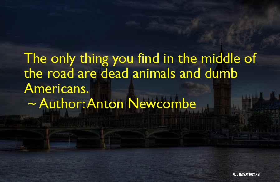Anton Newcombe Best Quotes By Anton Newcombe