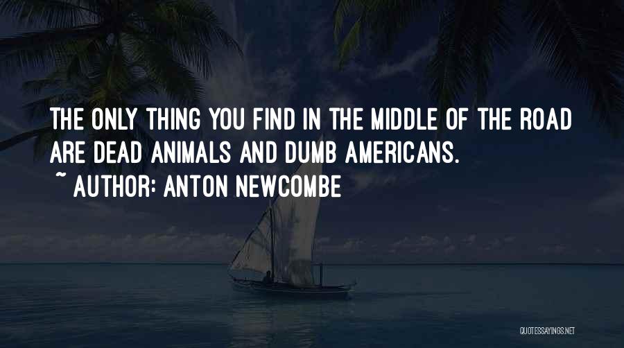 Anton Newcombe Quotes 1782397