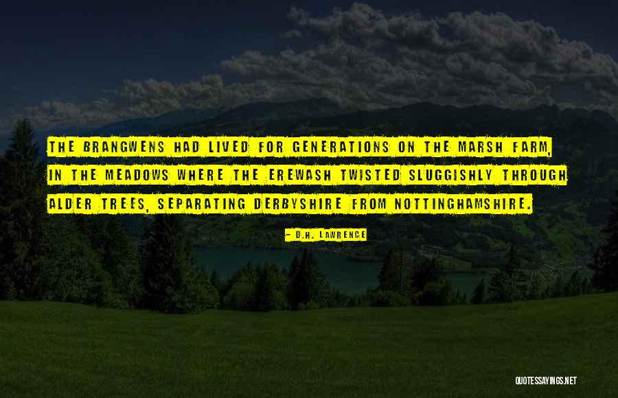 Anton Sugar Quotes By D.H. Lawrence Anton Sugar Quotes By D.H. Lawrence