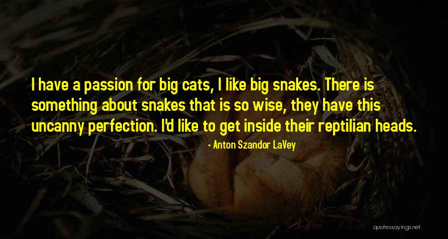 Anton Szandor LaVey Quotes 2109577