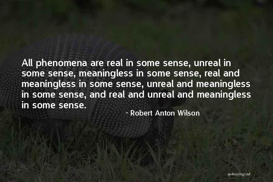 Anton Wilson Quotes By Robert Anton Wilson