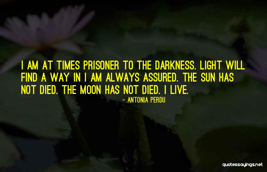 Antonia In My Antonia Quotes By Antonia Perdu Antonia In My Antonia Quotes By Antonia Perdu