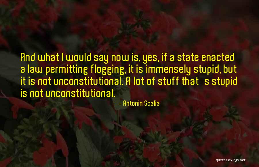 Antonin Quotes By Antonin Scalia Antonin Quotes By Antonin Scalia