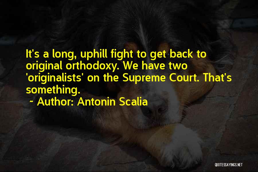 Antonin Scalia Quotes 1696011