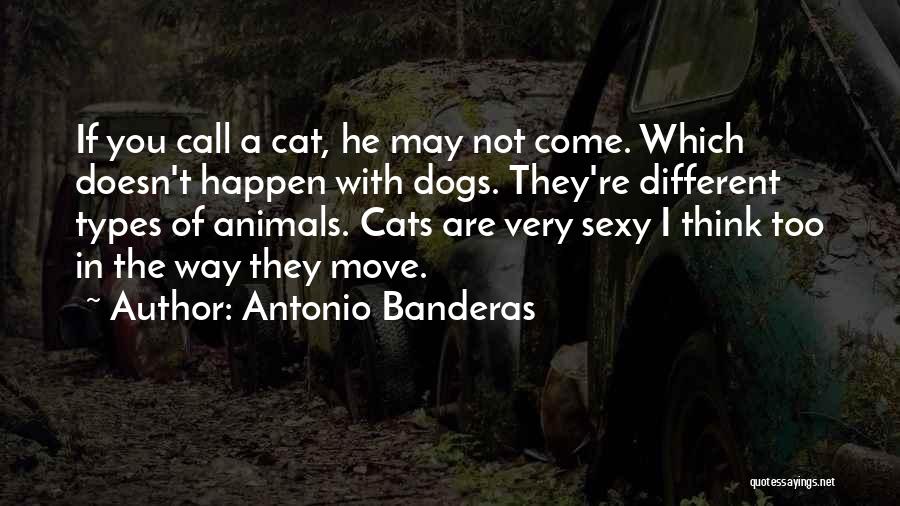 Antonio Banderas Quotes 191793