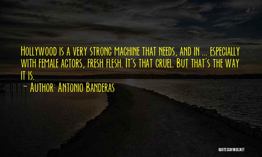 Antonio Banderas Quotes 2255528