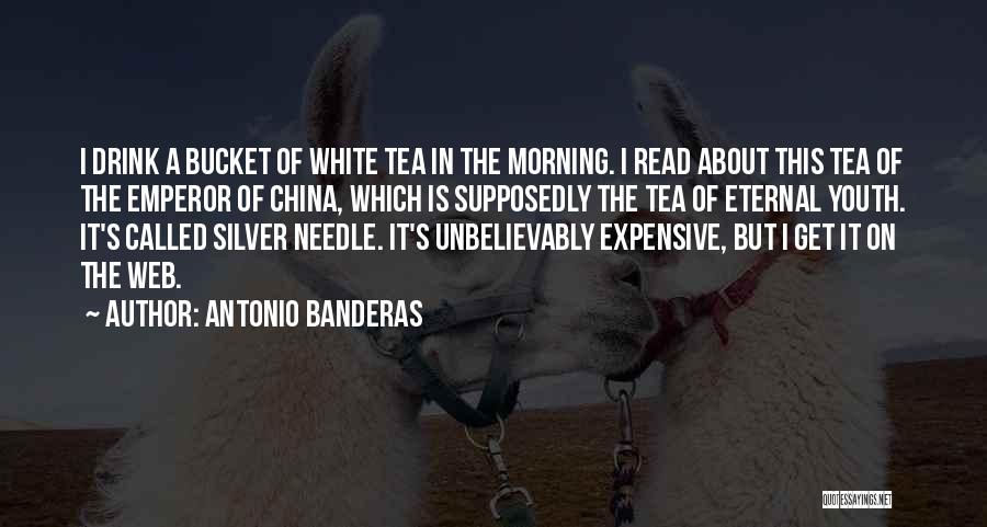 Antonio Banderas Quotes 262631