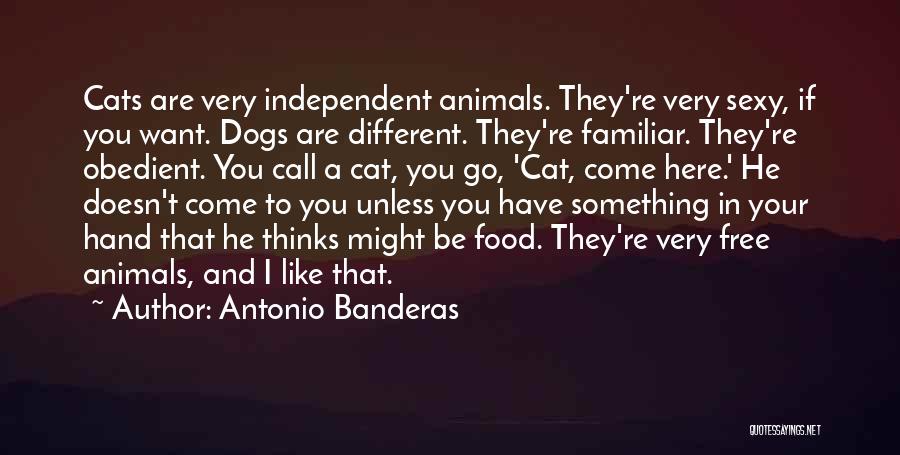 Antonio Banderas Quotes 96565