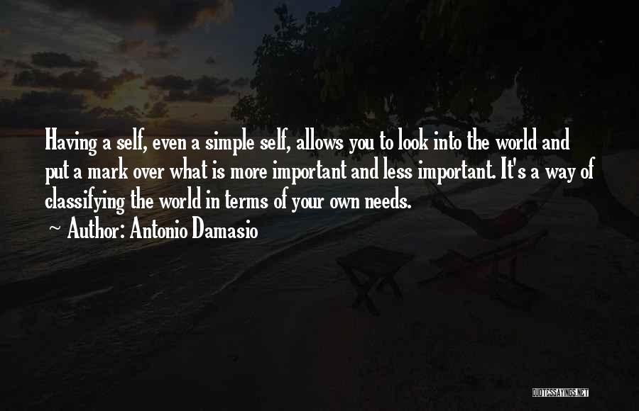 Antonio Damasio Quotes 1514700