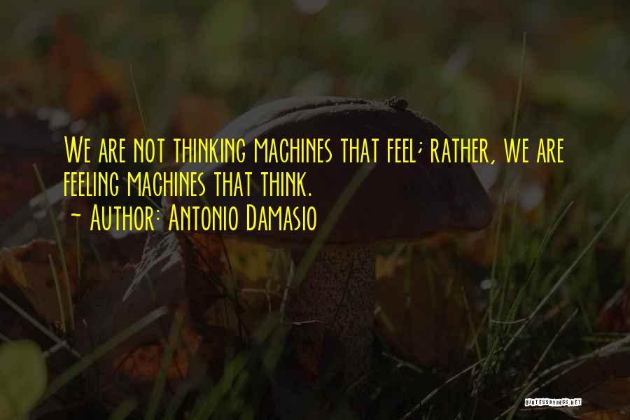 Antonio Damasio Quotes 1538507