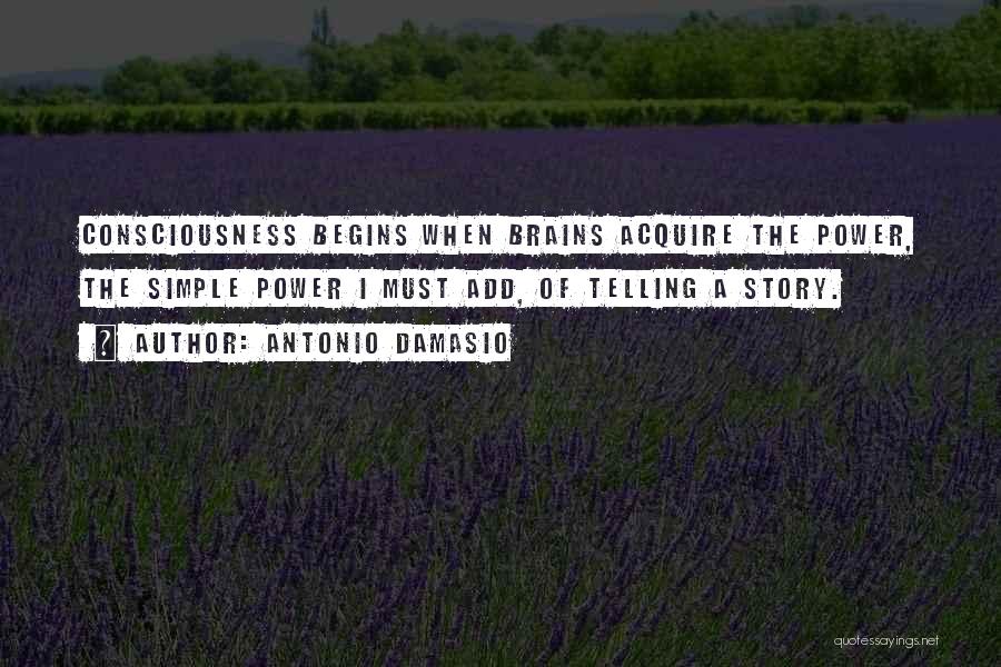 Antonio Damasio Quotes 1649580