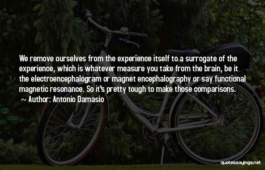 Antonio Damasio Quotes 184016