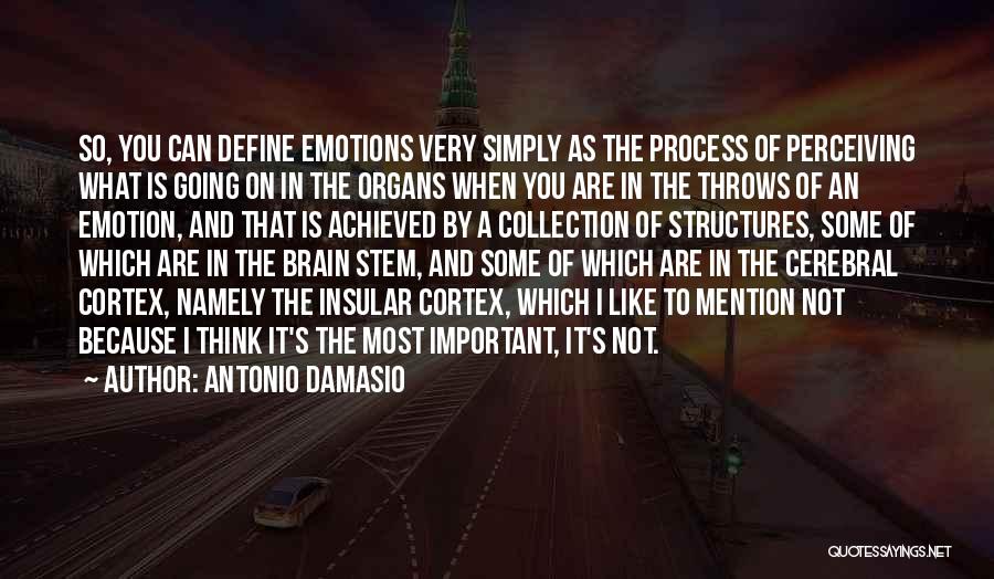 Antonio Damasio Quotes 1872892