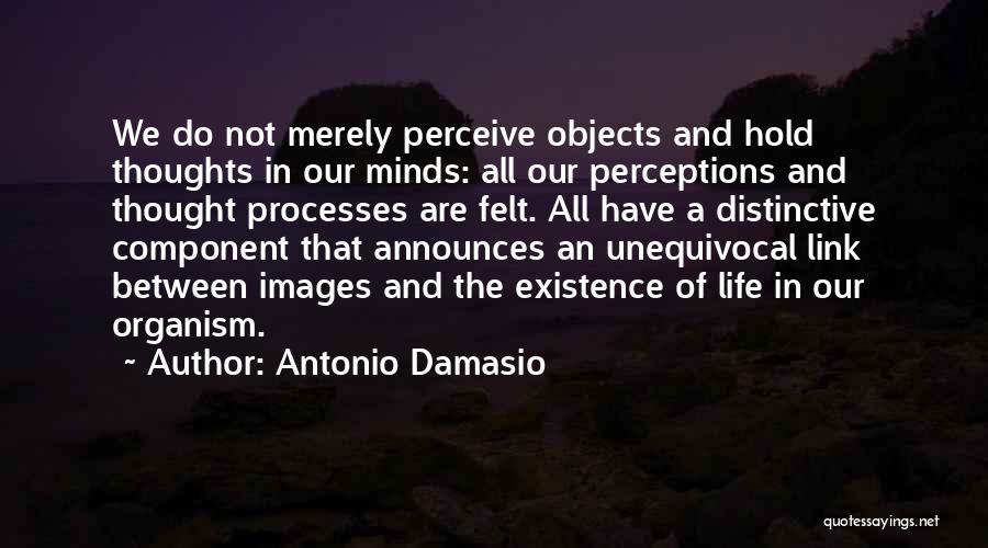 Antonio Damasio Quotes 243944