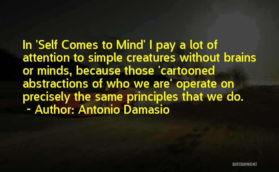Antonio Damasio Quotes 281891