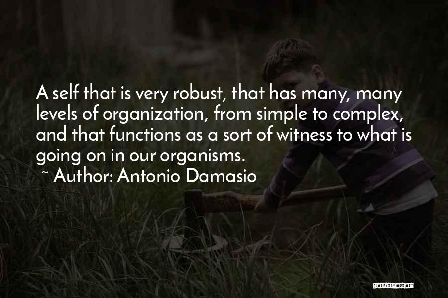 Antonio Damasio Quotes 350310