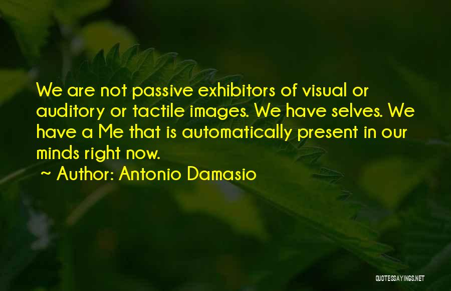 Antonio Damasio Quotes 442631