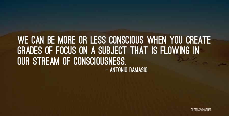 Antonio Damasio Quotes 619000