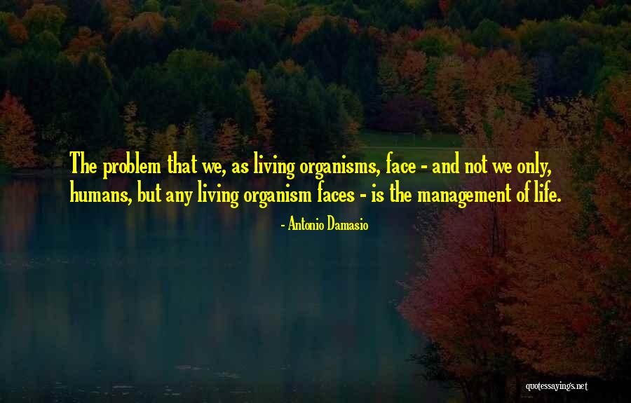Antonio Damasio Quotes 933937 Antonio Damasio Quotes 933937
