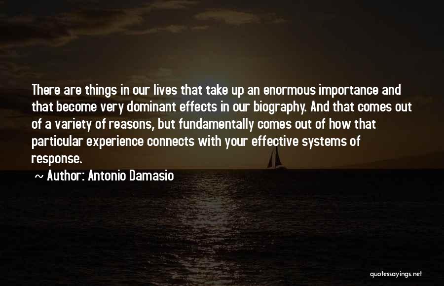 Antonio Damasio Quotes 948776