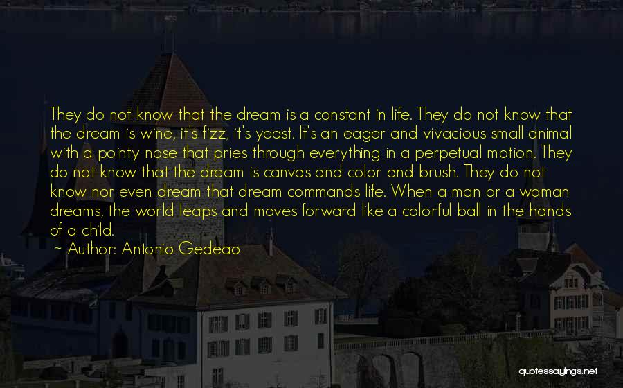 Antonio Gedeao Quotes 2177712