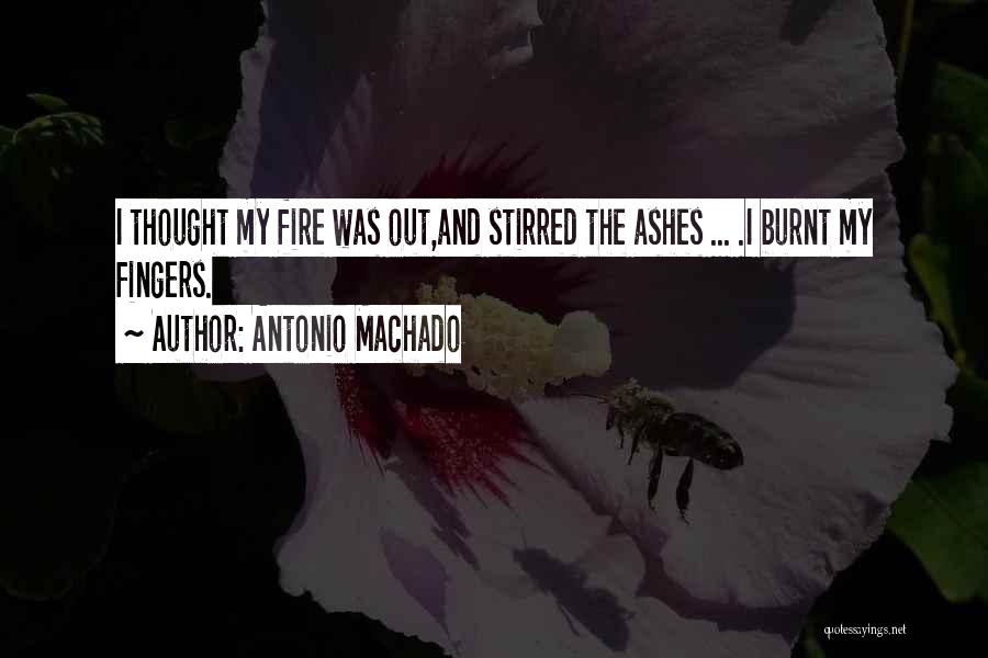 Antonio Machado Quotes 2251333