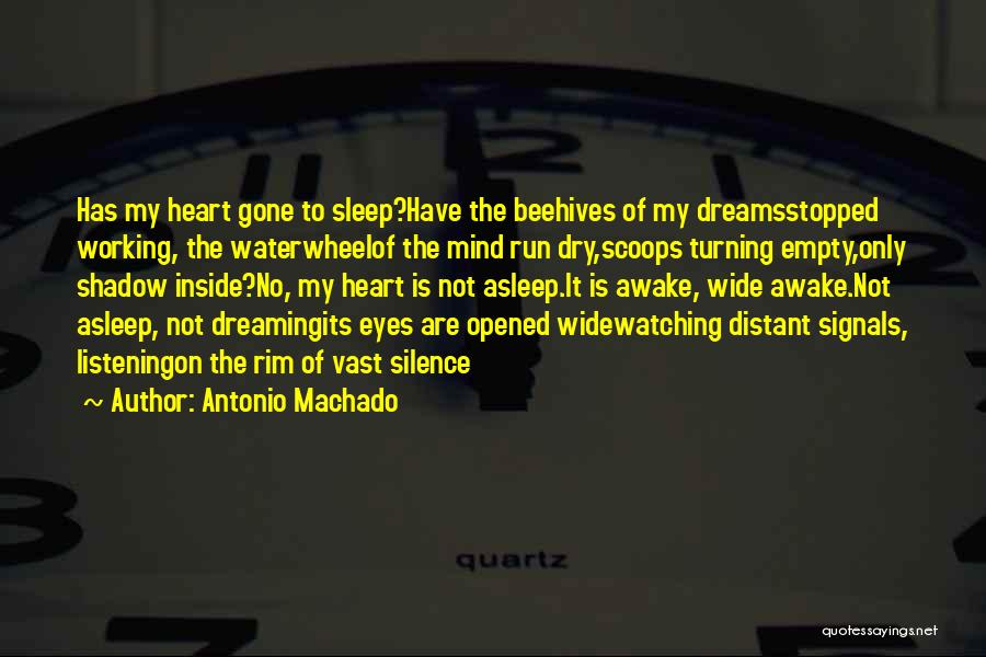 Antonio Machado Quotes 404902