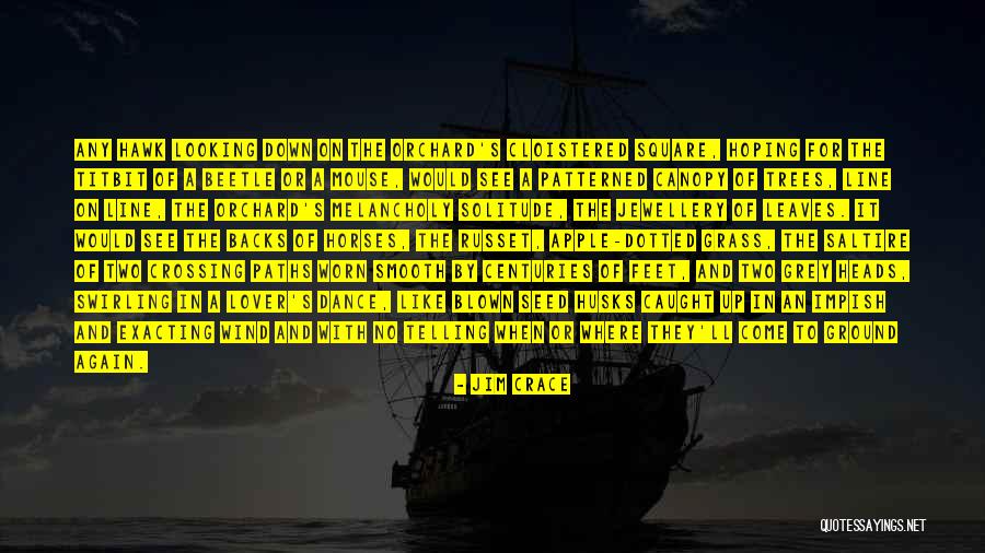 Antonio Neri Quotes By Jim Crace Antonio Neri Quotes By Jim Crace
