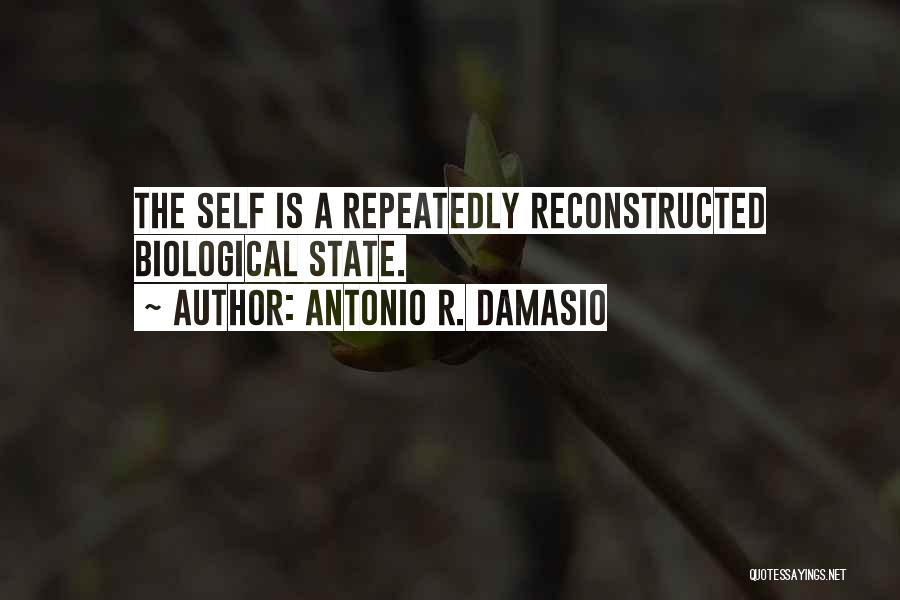 Antonio R. Damasio Quotes 405229