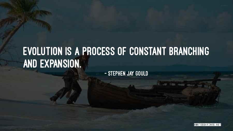 Antonio Soberanis Quotes By Stephen Jay Gould Antonio Soberanis Quotes By Stephen Jay Gould