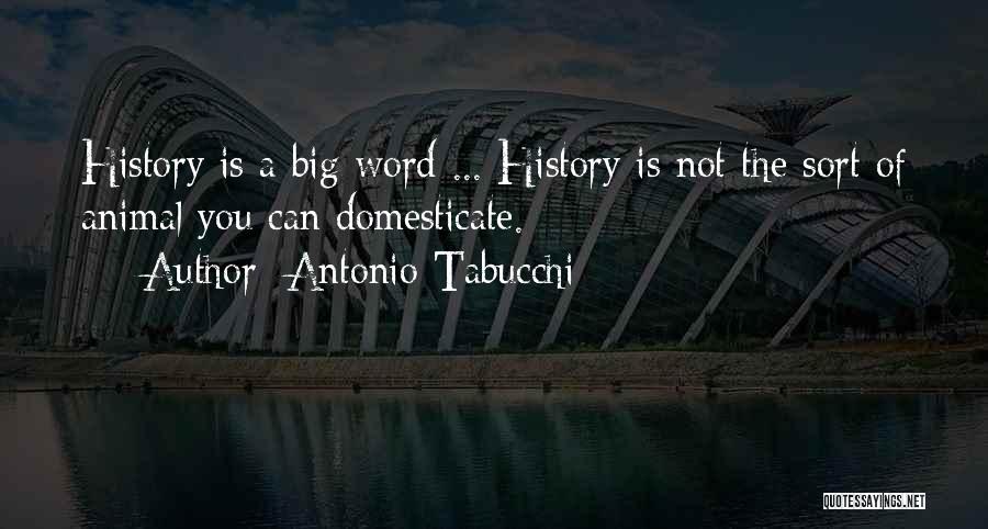 Antonio Tabucchi Quotes 1185685