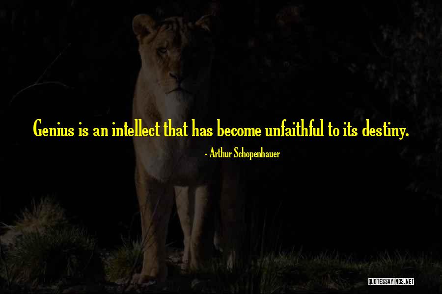Antonioni La Quotes By Arthur Schopenhauer Antonioni La Quotes By Arthur Schopenhauer