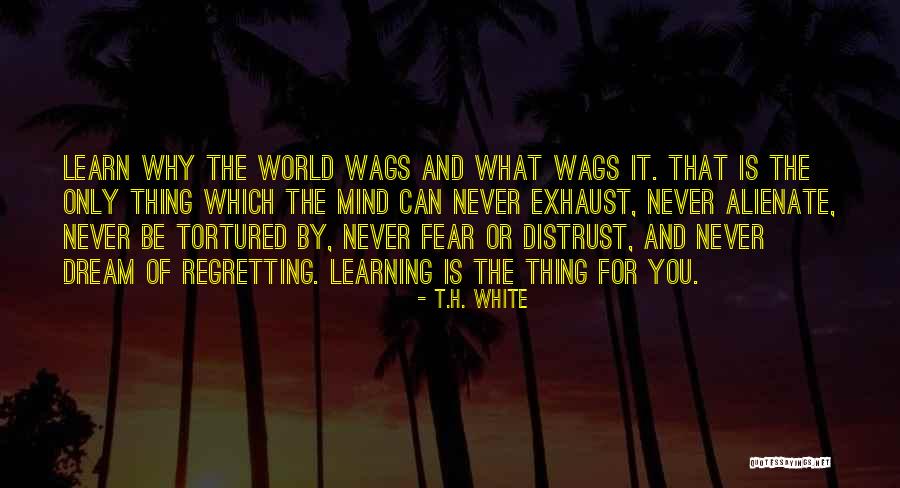 Antonis Vardis Quotes By T.H. White Antonis Vardis Quotes By T.H. White