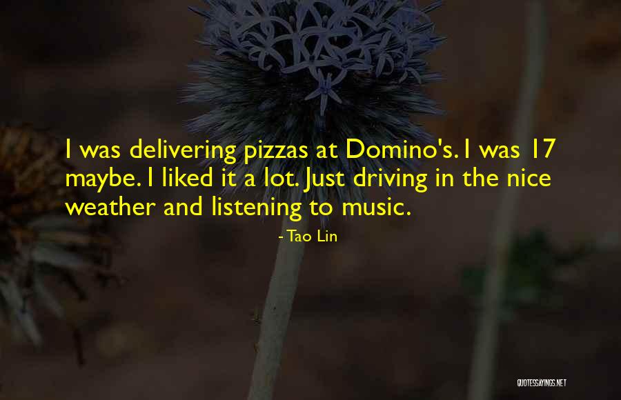 Antoniya Gospodinova Quotes By Tao Lin Antoniya Gospodinova Quotes By Tao Lin