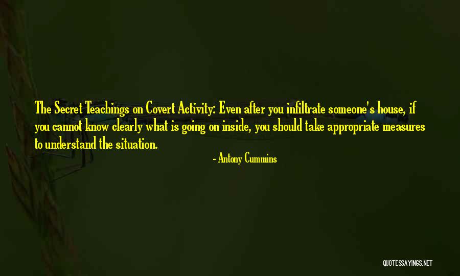 Antony Cummins Quotes 865701