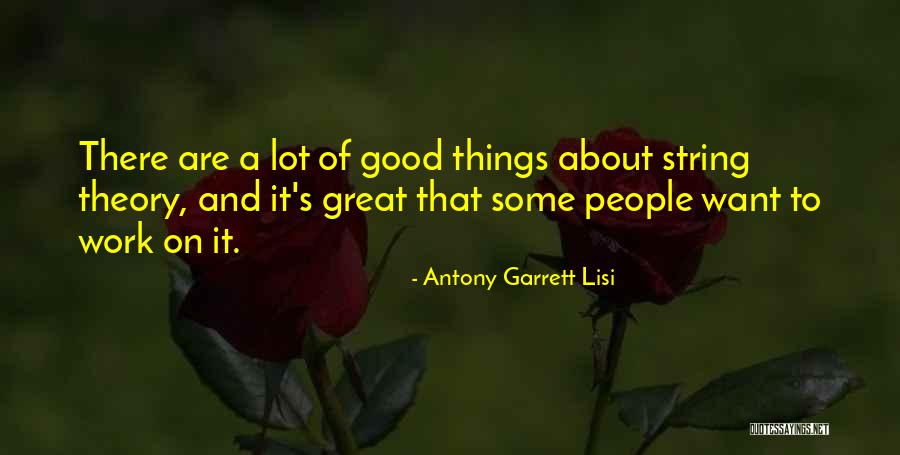 Antony Garrett Lisi Quotes 1384683